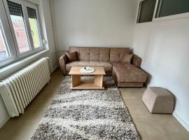 Apartman Nest, apartment in Kikinda