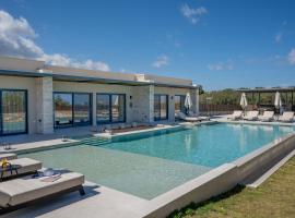 Olive Hill Villa, hotel with pools in Angeliana