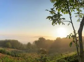 Gîte à Saint-Étienne-au-Mont avec jardin privatif, cheminée, WiFi et animaux admis - FR-1-376-77