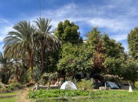 Salatoos Mango Camp, hotel in Aswan