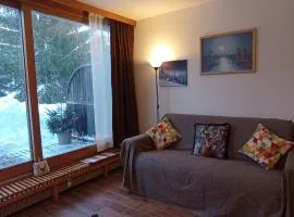 Ski apartment Sellette San Sicario Alto