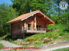 Chalet chaleureux avec poêle à bois et internet à Saint-Martin-la-Sauveté - FR-1-496-184
