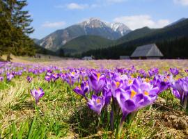Hotel Helios 300m od Krupówek nowy BASEN od 12 lipca, hótel í Zakopane