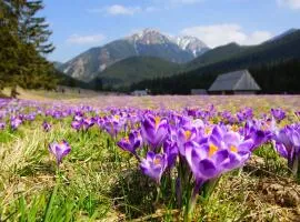 Hotel Helios 300m od Krupówek nowy BASEN od 12 lipca