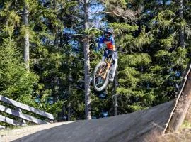 WeiXL Schi&Bike Appartements-Bike in&Bike out neben Wexl Trails Bikepark