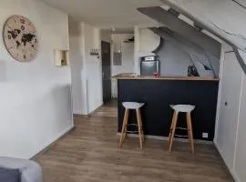 apt cozy refait à neuf à 5min du centre ville