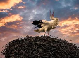 Storchennest, hotel em Neuried