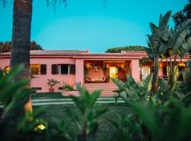 Charismatic Villa Pitanga Private pool and garden