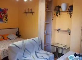 Monoliconi