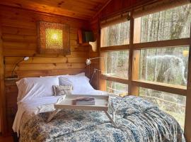 Private Mtn Love Shack w/ fast wifi, BBQ & view, hotel a Franklin