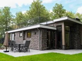 Modern holiday home with decorative fireplace near Veluwe