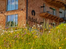 Aktivhotel Pehab, hotel em Ramsau am Dachstein