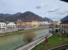 Apartment Traunkai Zauner Blick