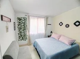 Apartamento Familiar Privado 101 Con Baño Cocina Tv Wifi Sala