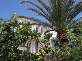 Apartments by the sea Barbat, Rab - 22754