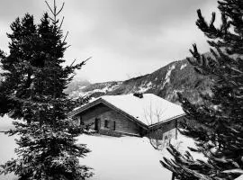 Chalet le Réconfort, accès skis aux pieds