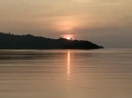 Sea Whip Raja Ampat