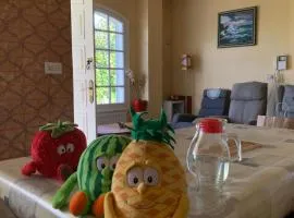 La maison d'Abelleira
