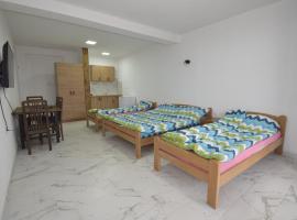 Dom Drugarche, apartman u gradu Sopište