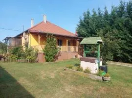 Schönes Ferienhaus mit Pool