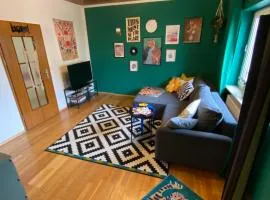 Schöne zentrale 2 Zimmer Wohnung