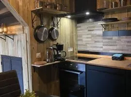 gezellige cottage in zeeland