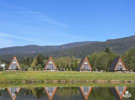 Transylvania Apartments, cabin in Borzont