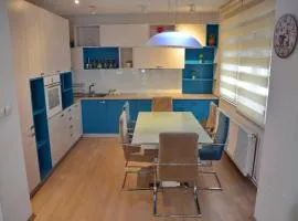 Feel Good Apartments in Center Free Parking
