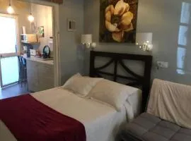 Apartamento con encanto Manchigon
