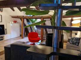 Loft i gemelli, hotel in Montbéliard