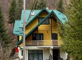 Cheile Valsanului