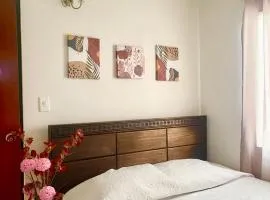 Apartamento para máx 5 personas, habitación privada con cama doble , habitación abierta con camarote y sofá cama, comodo, bonito, central, bien ubicado, en el centro de palmira