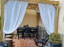 La coccinella