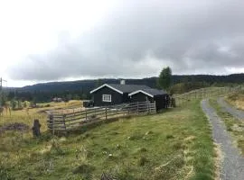 Einkjerrbu cabin by Norgesbooking -