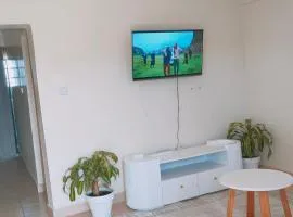 Fancy One Bedroom Juja