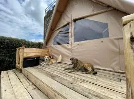 A-Frame Tent in Naivasha - Elwai Visitor Centre
