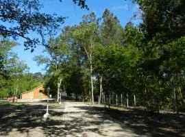 HERMITAGE MARMANDAIS