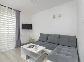 Bażantów Studio with Balcony Katowice by Noclegi Renters