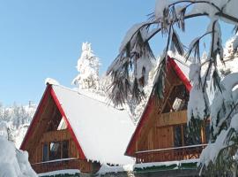 The Riverbank Nest, hotel v destinaci Jibhi