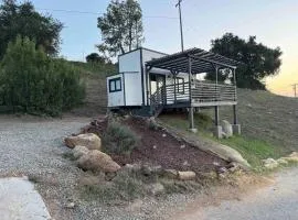 Tiny House - mountain views close to everything、Valley Centerのタイニーハウス