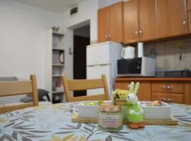 Apartman SaŽiv