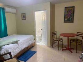 apartaestudio santo domingo a 40 minutos playa., apartman u gradu 'Los Tres Brazos'