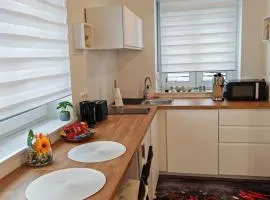 YELLOW APARTMENT WITH FREE PARKING