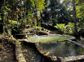 Wisdom Forest Lodge, hotel in Tena