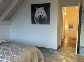 Entspannen, ruhige Maisonette Dachwohnung