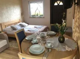 Apartament Vanessa 2 u podnóża gór, nad jeziorem Czorsztyńskim