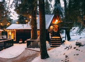 Mid-Century Cabin Perfect for Romantic Getaway، كوخ في Running Springs