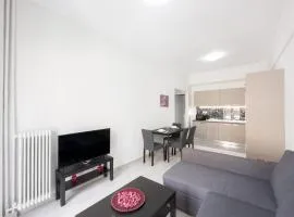 New Spacious & Stylist Apt