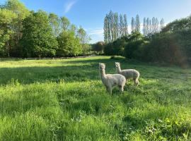 Dragonfly Lodge Ifold & Alpaca My Tipi Glamping, lodge a Billingshurst