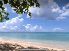 Westland villa's, hotel din Saint James